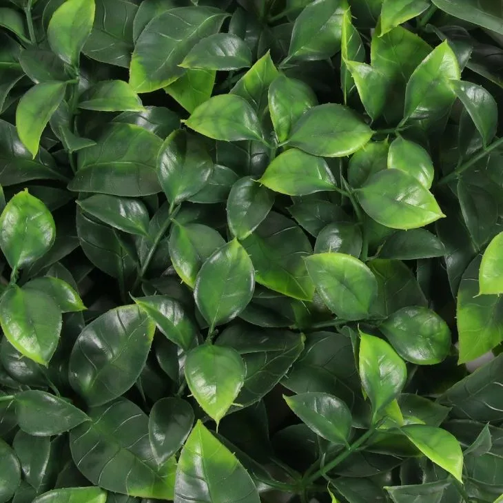 Handmade Artificial Boxwood Hedge Panels Hedge For Decorative Wall