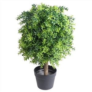 Natura és Mini Fa Zöld