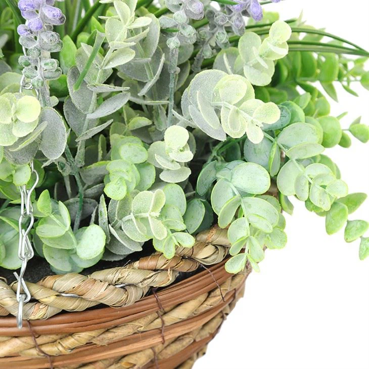 Preserved Boxwood Wreath Mini Wreath